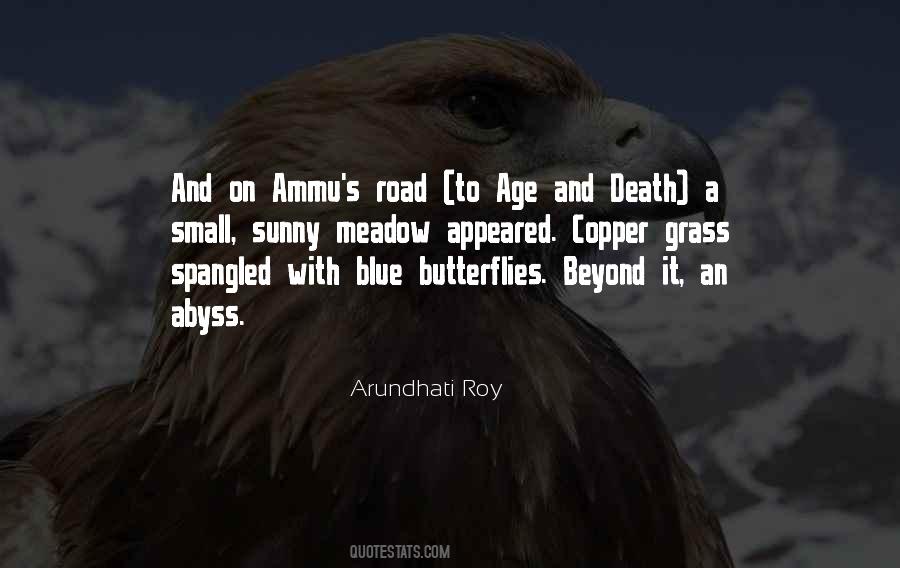 Quotes About Arundhati Roy #121686
