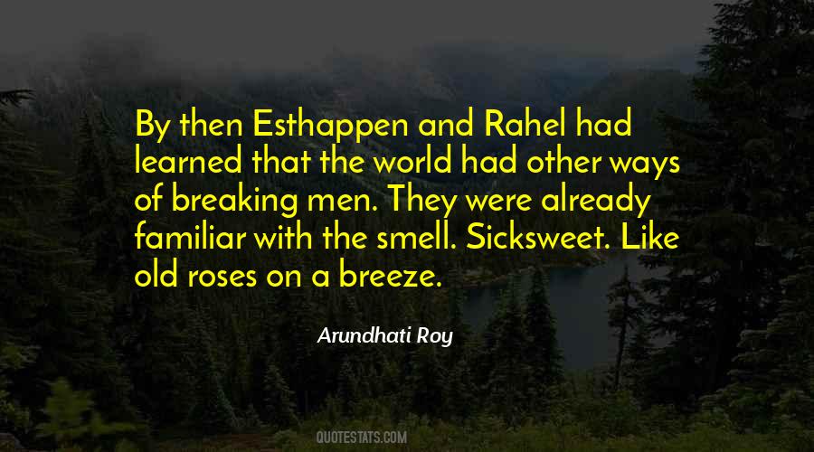 Quotes About Arundhati Roy #198209