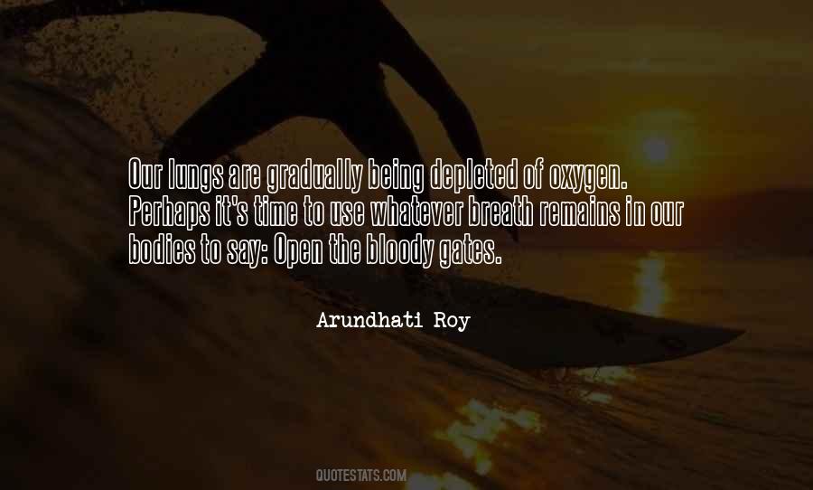 Quotes About Arundhati Roy #220786