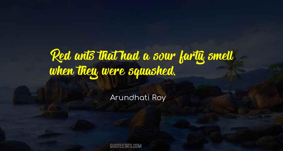 Quotes About Arundhati Roy #264635