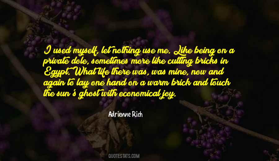 Quotes About Adrienne Rich #167942