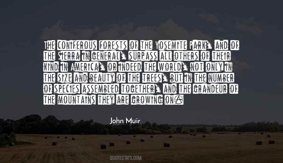 Quotes About John Muir #299051