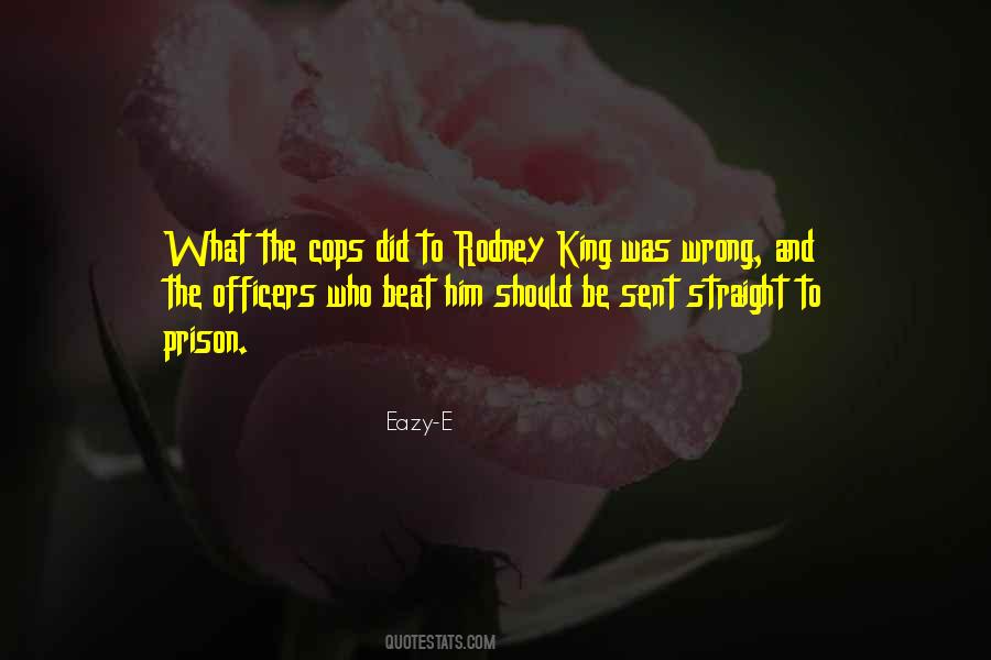 Quotes About Rodney King #256361