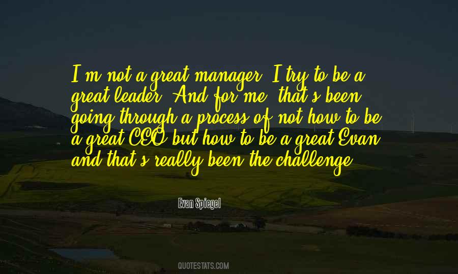 To Be A Great Leader Quotes #10032