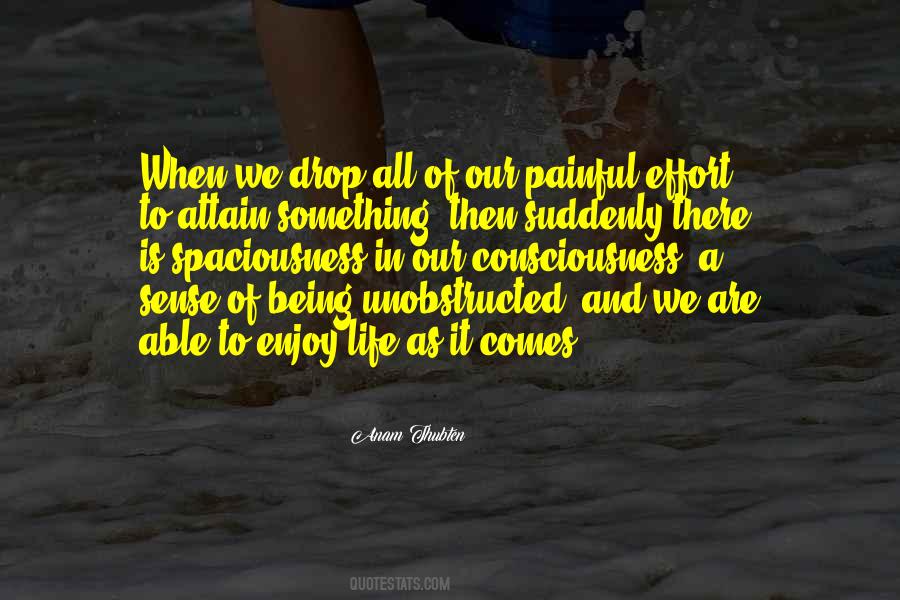 To Enjoy Life Quotes #880219