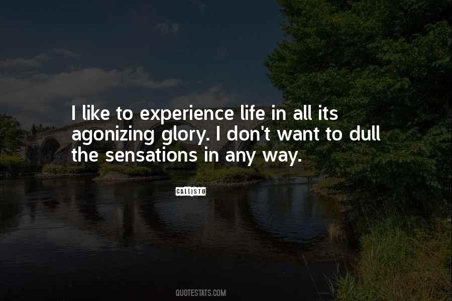 To Experience Life Quotes #1408036
