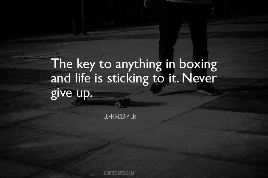 To Never Give Up Quotes #139508