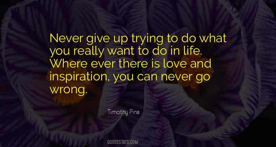 To Never Give Up Quotes #162731