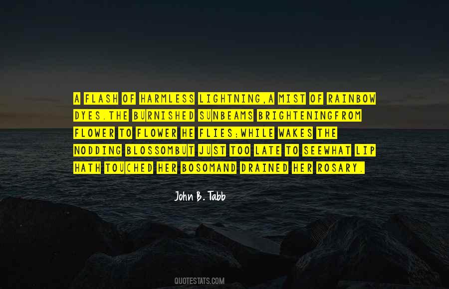 To See The Rainbow Quotes #694588
