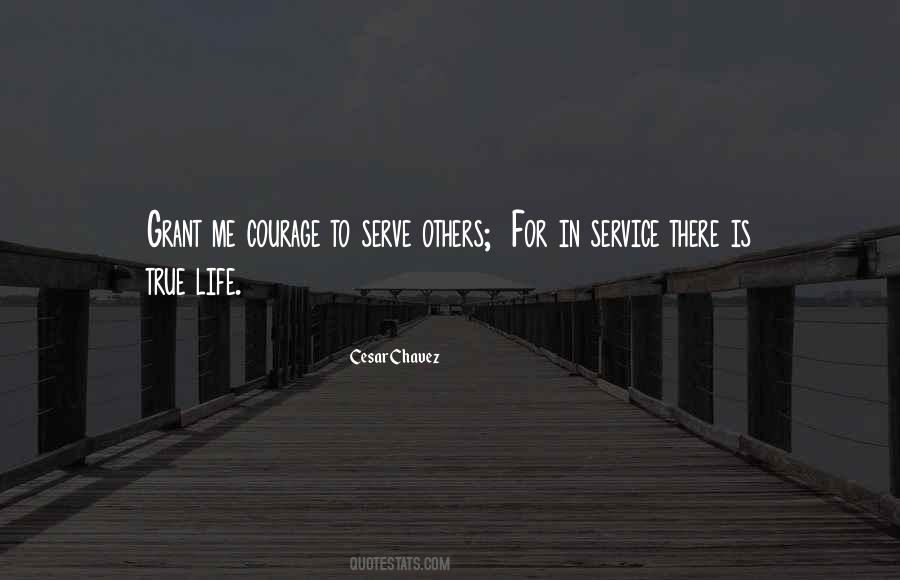 To Serve Others Quotes #342223