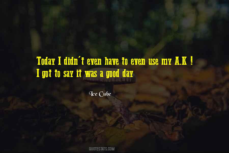 Today Is Not A Good Day Quotes #449872