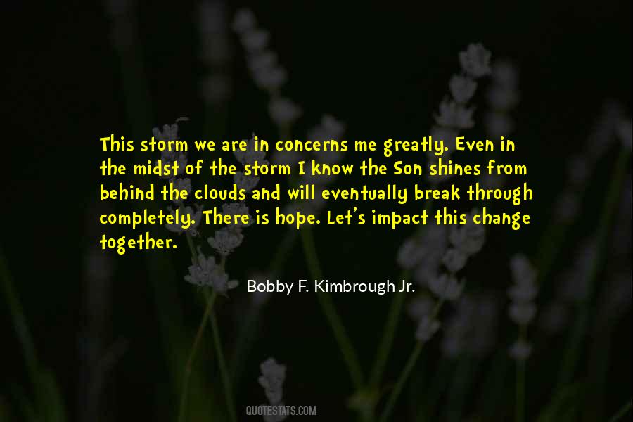 Together Through The Storm Quotes #880212