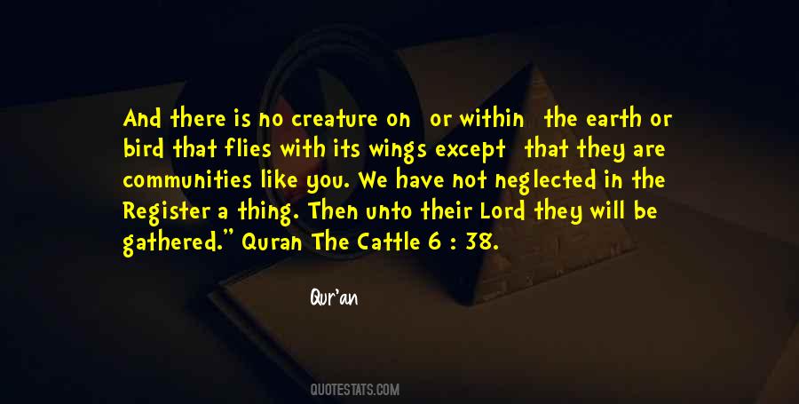 Quotes About Quran #535974