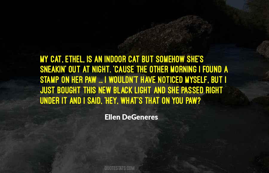 Quotes About Ellen Degeneres #104224