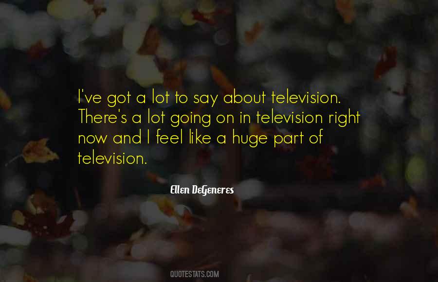 Quotes About Ellen Degeneres #16264