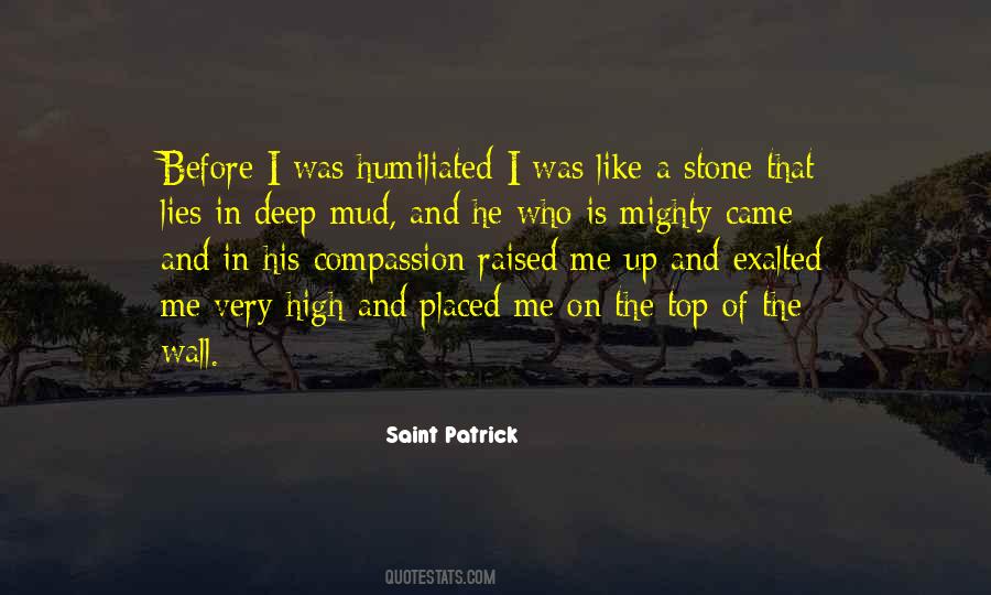 Quotes About Saint Patrick #1803979