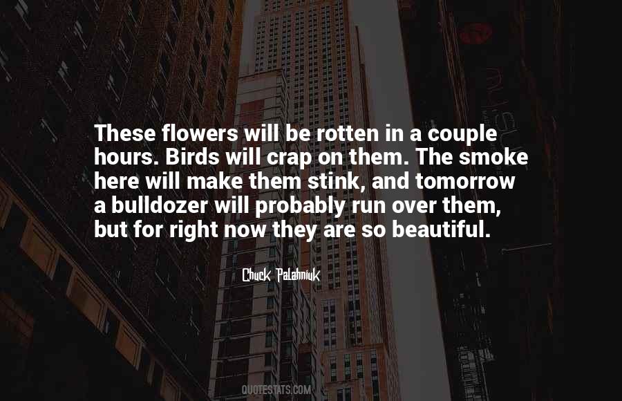 Tomorrow Is Beautiful Quotes #1780308