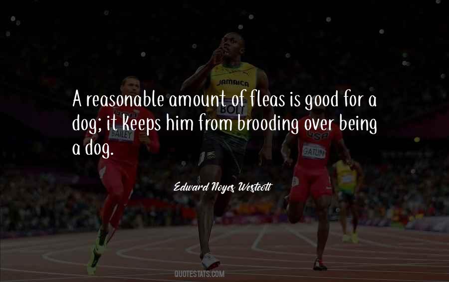 Quotes About Being Reasonable #947799