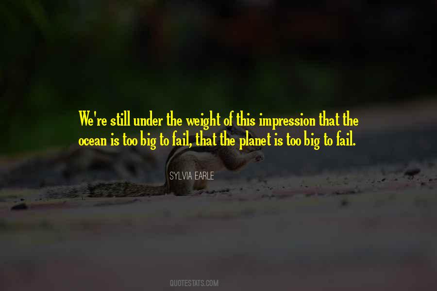 Too Big To Fail Quotes #1336681