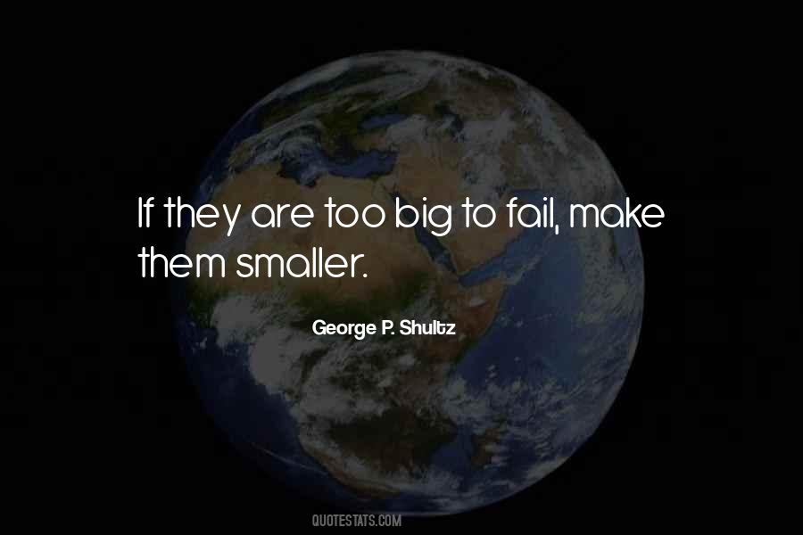 Too Big To Fail Quotes #696624