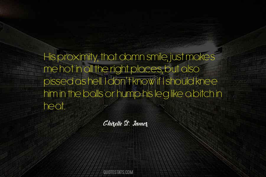 Too Damn Hot Quotes #862455
