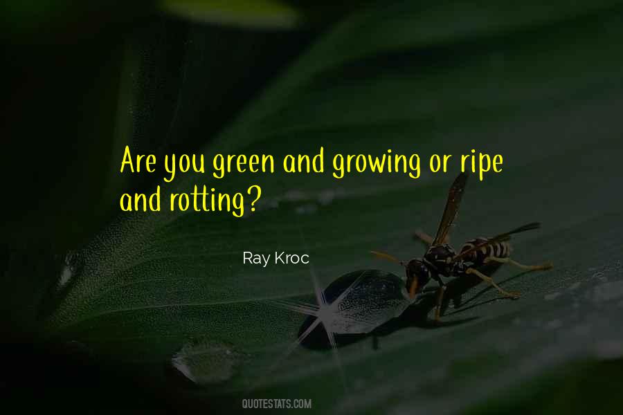 Quotes About Ray Kroc #365087
