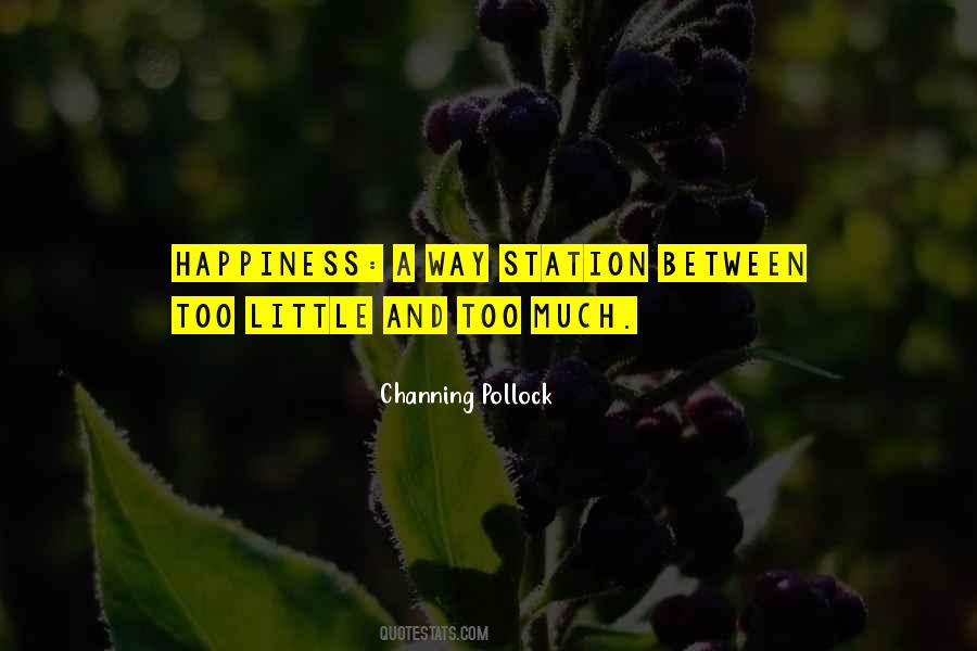 Too Much Happiness Quotes #990188