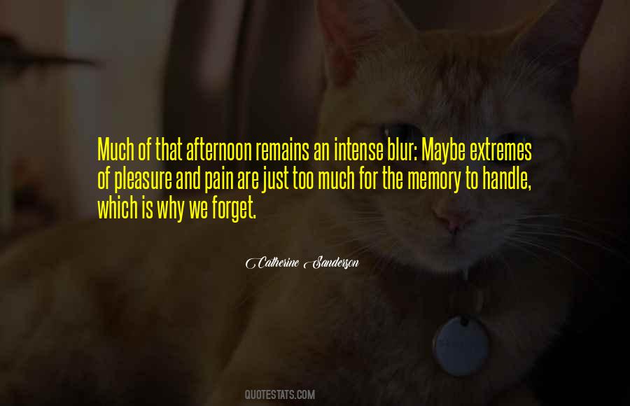 Too Much Pain Quotes #927749