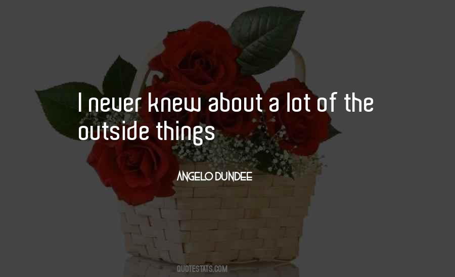 Quotes About Angelo Dundee #1315911