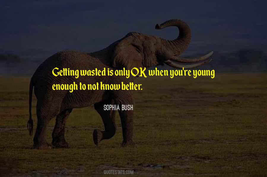 Too Young To Know Better Quotes #1311936