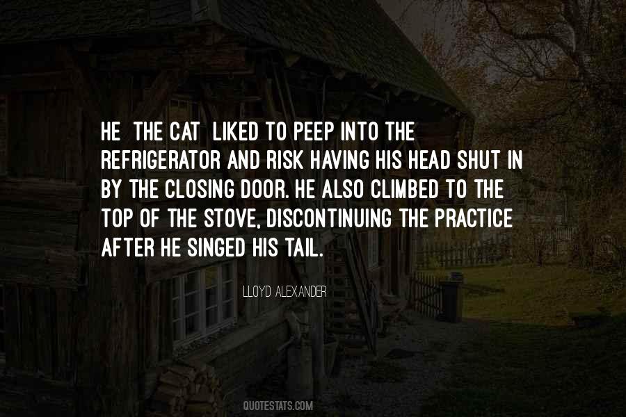 Top Cat Quotes #26001