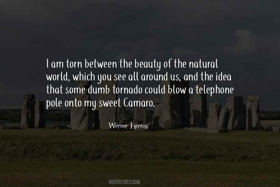 Tornado Quotes #363402