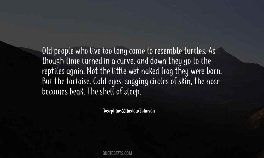 Tortoise Shell Quotes #637372