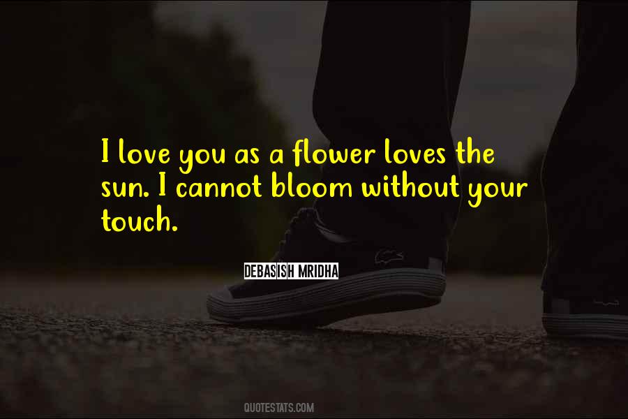 Touch The Sun Quotes #1531269