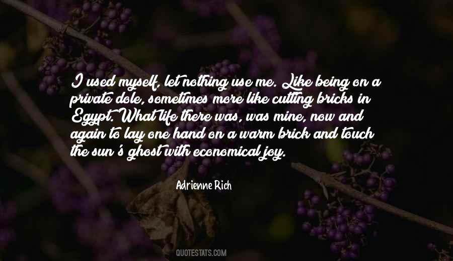 Touch The Sun Quotes #167942