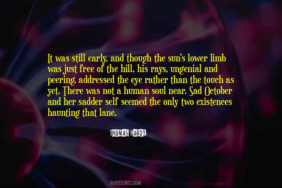 Touch The Sun Quotes #689877