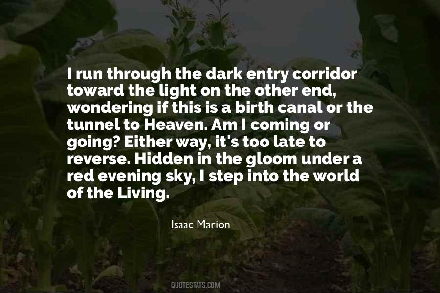 Toward The Light Quotes #1608922