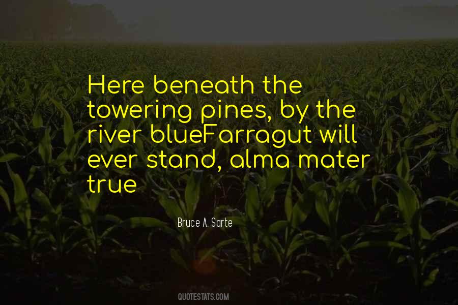 Towering Quotes #177034