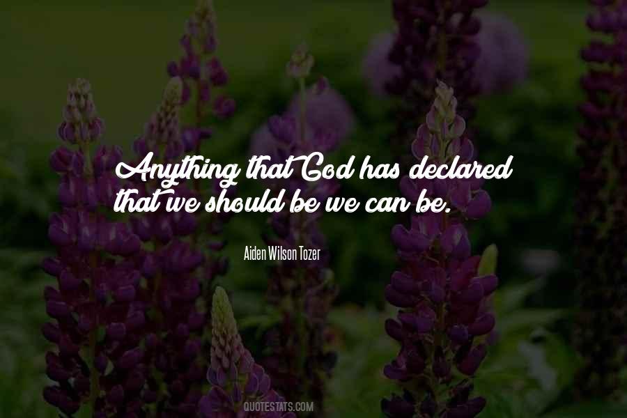 Tozer Quotes #54256