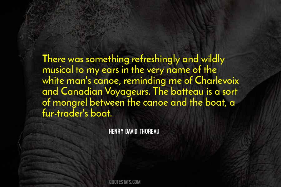 Trader Quotes #967400