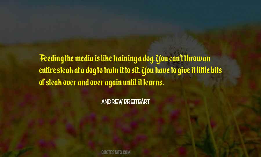 Train A Dog Quotes #439098