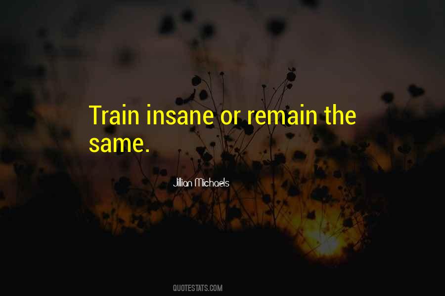 Train Insane Or Remain The Same Quotes #862881