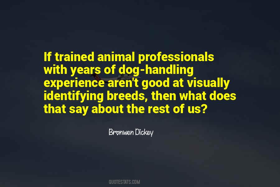 Trained Dog Quotes #898247