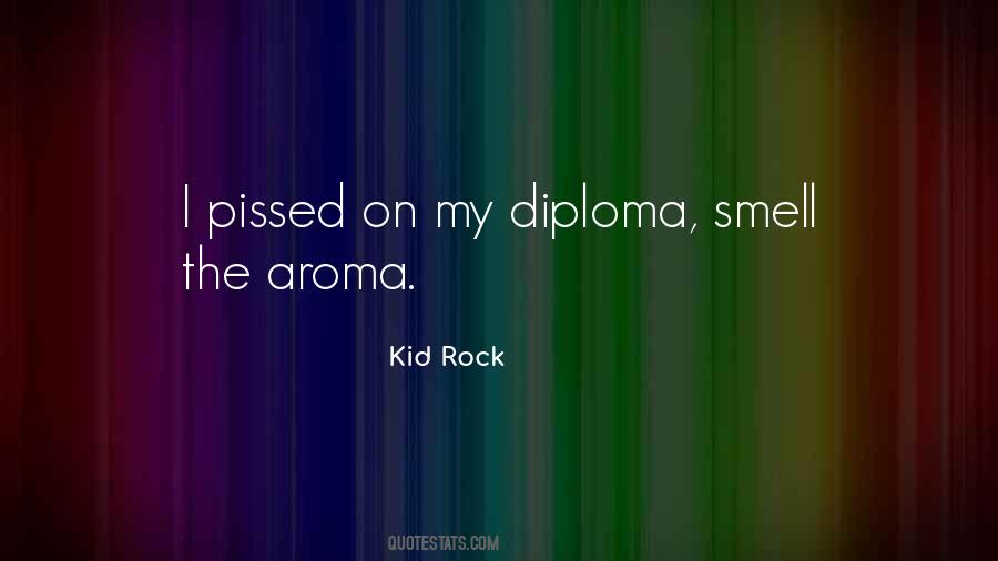 Quotes About Kid Rock #602783