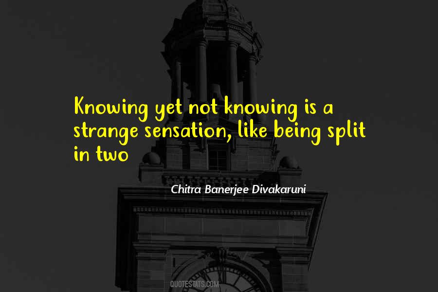 Quotes About Being Strange #337789