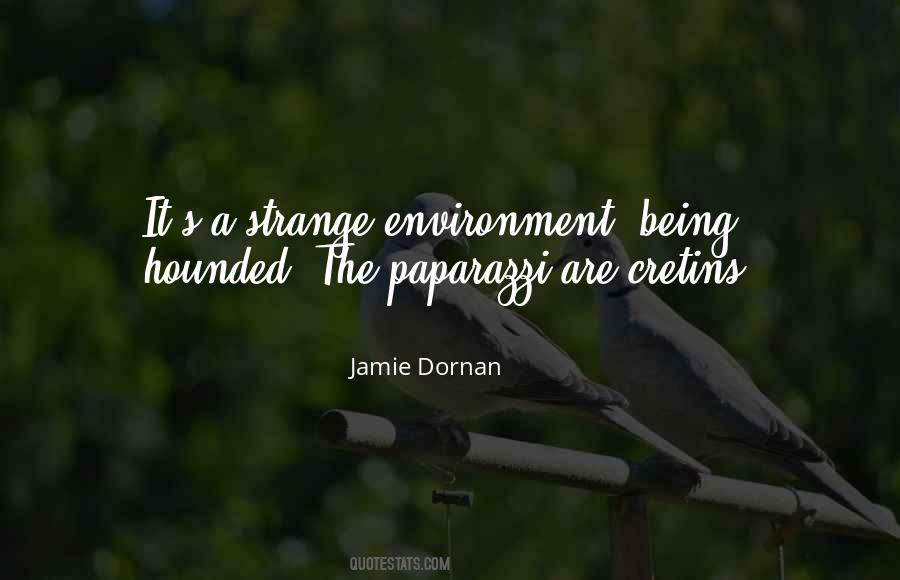 Quotes About Being Strange #413498