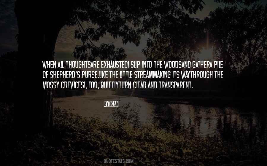 Transparent Thoughts Quotes #346218
