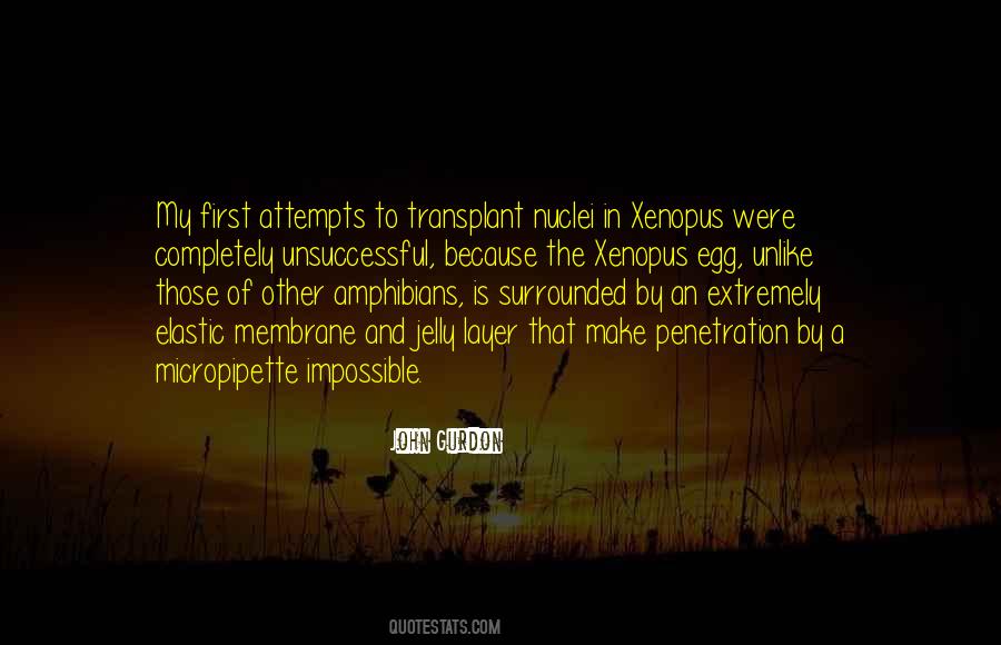 Transplant Quotes #1391508