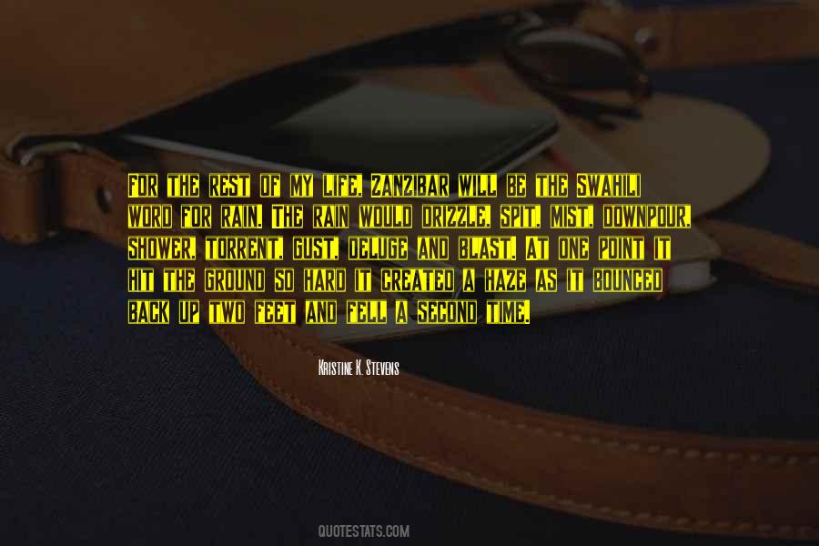 Travel In The Rain Quotes #803388