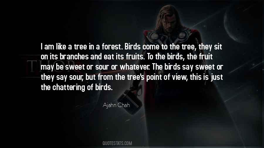 Tree And Bird Quotes #1585593